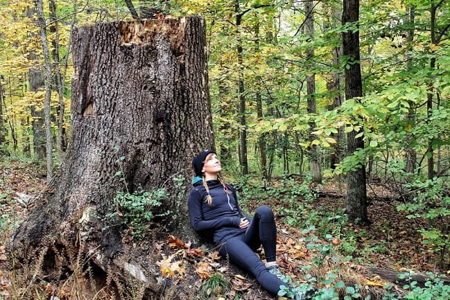 A smiling woman sitting with her back against a very large tree stump in the middle of a forest.