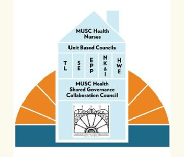 Image that shows MUSC shared governance model