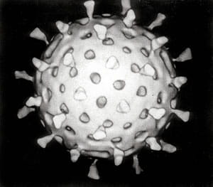 Image of a computer-aided reconstruction of a rotavirus.