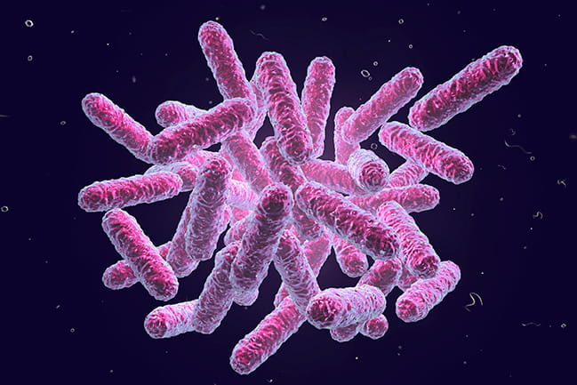 Stock Image of Microbes