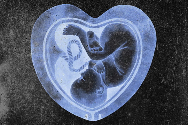 Illustration of a fetus in a blue heart-shaped womb over a black background