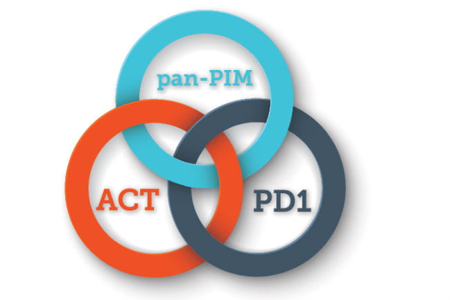 Illustration depicting three different colored interlocking rings. Beginning in clockwise order: An orange ring labeled Adoptive Cell Transfer (ACT), a teal ring labeled pan-PIM, and a grey ring labeled PD1.