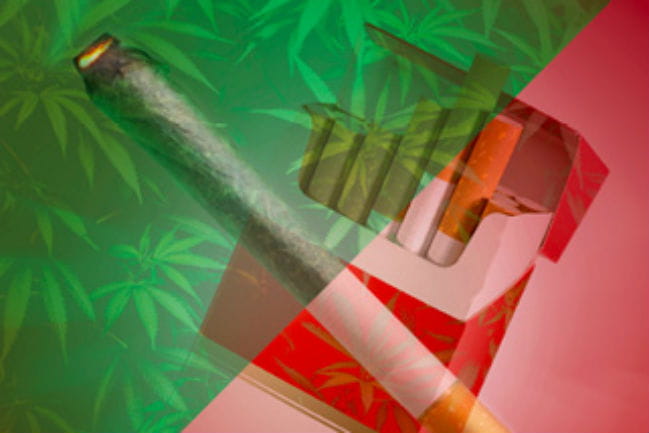Illustration of a marijuana cigarette, marijuana plant, and cigarette box. 