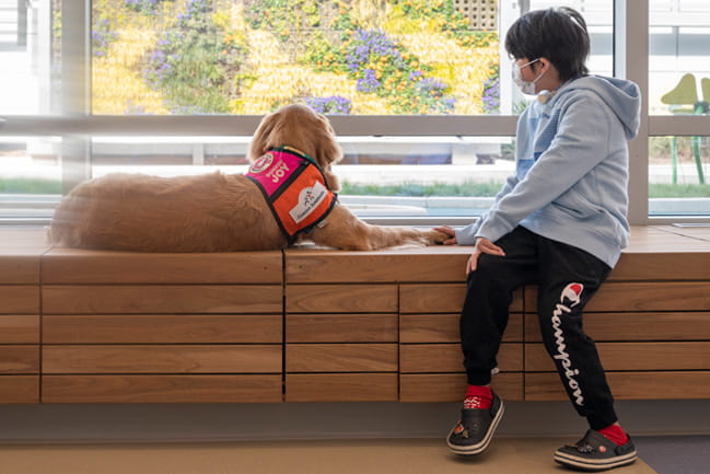 A boy in a mask holds the paw of golden retriever as they both look out the window.