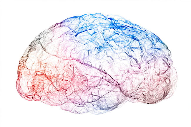 colorful illustrationbn of a brain designed to look futuristic