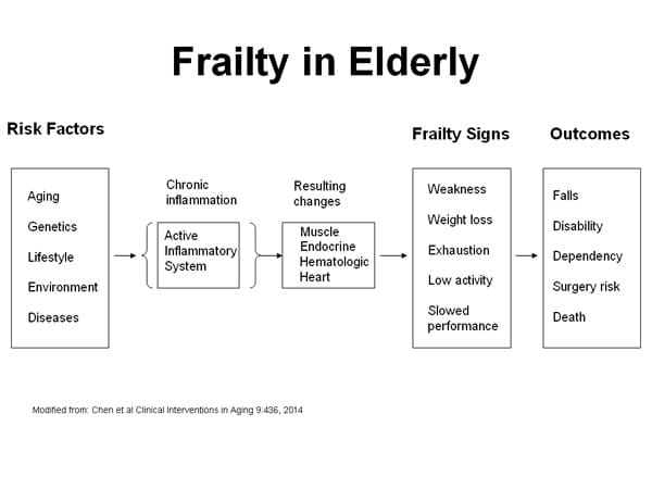 Frailty in Elderly