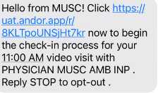 Screengrap of example text message that reads: Hello from MUSC! Click URL now to begin the check-in process for your 11:00 AM video visit with Physician MUSC AmB INP. Reply STOP to opt-out.