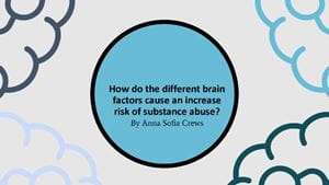 How do the different brain factors cause an increase risk of substance abuse?