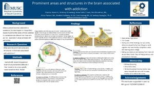 Research project: Prominent areas and structures in the brain associates with addiction.