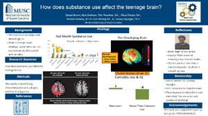Research project: How does substance abuse affect the teenage brain?
