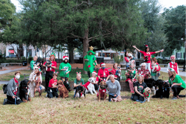 Holiday group photo of Therapy dog teams