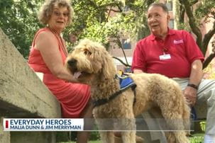 News program video showing showing MUSC pet therapy dog and handler. Text on the screen reads, Everyday Heroes.