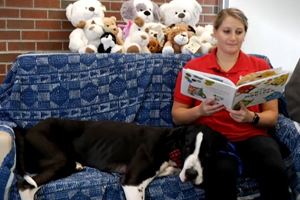 Amelia reading a book with MUSC Pet Therapy dog, Hyperion.