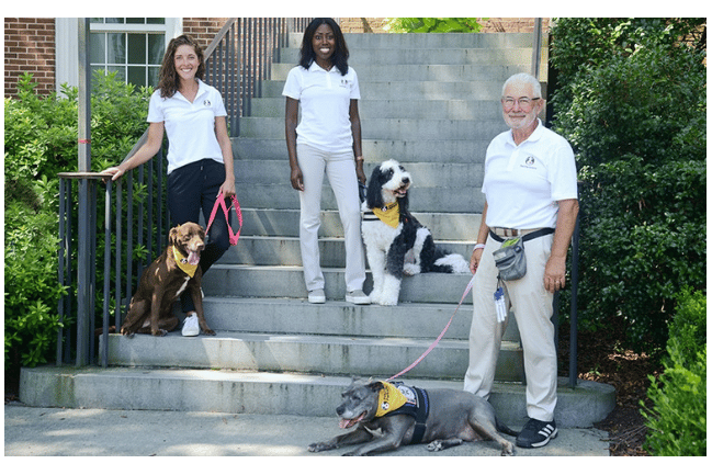 Effective Therapy Dog Training in Charleston