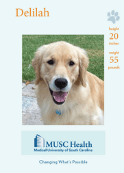 Delilah Durham, therapy dog