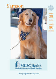 Samson Durham, therapy dog