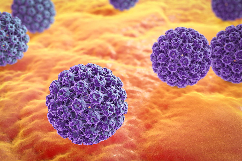 HPV is a group of more than 150 related viruses
