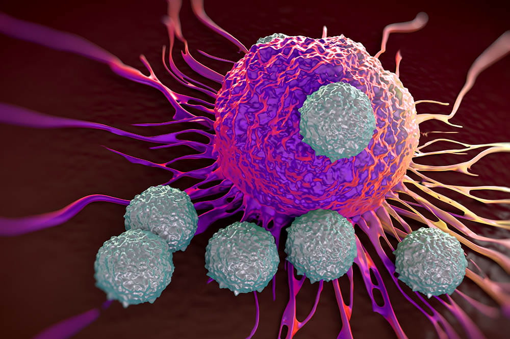 T cells attack cancer cell