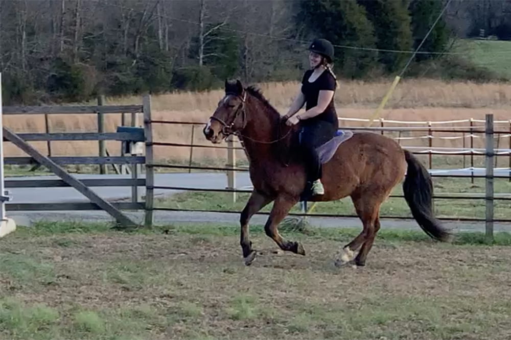 A young woman rides a horse in a paddock