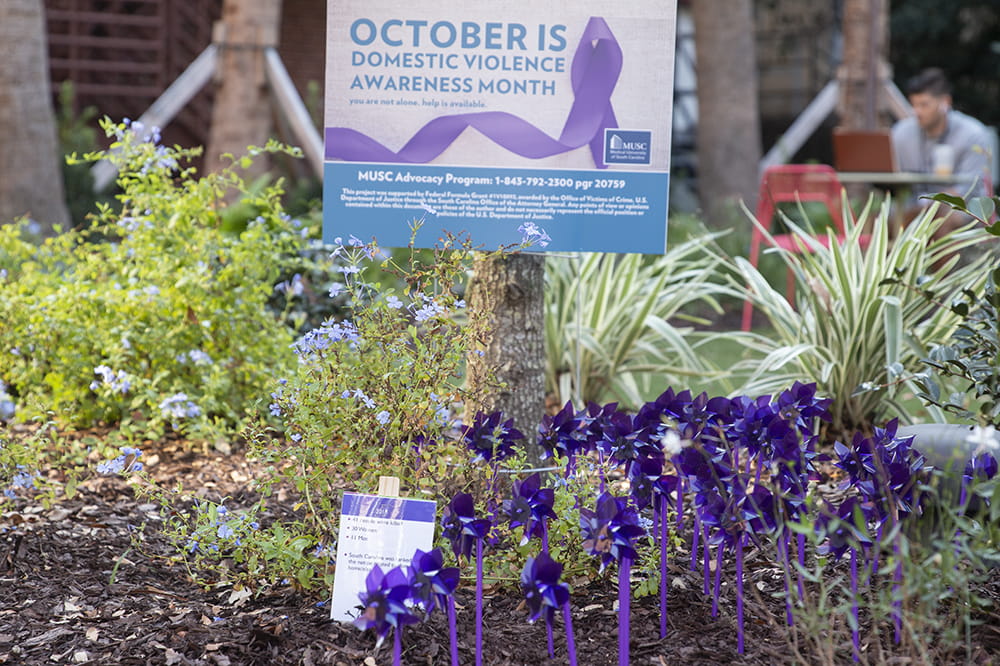 photo of a domestic violence awareness sign in a flower bed surrounded by purple pinwheels