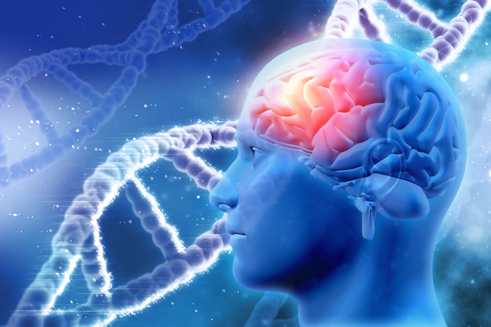 3D image of  male head with brain and DNA strands. Image by kirstypargeter. Licensed from istockphoto.com