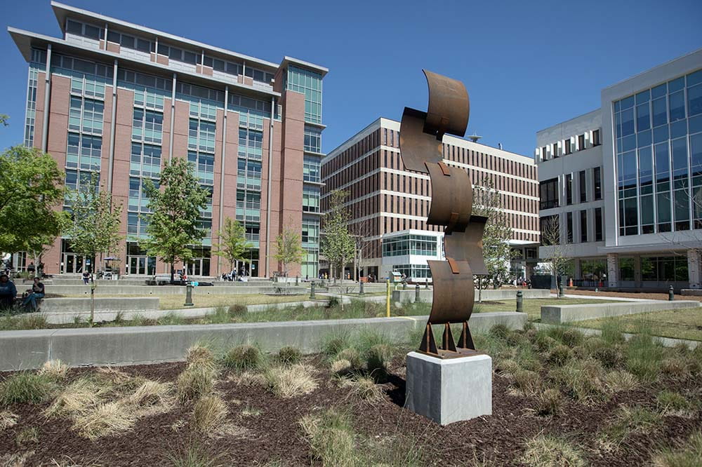 A wavy metal sculpture sits in an outdoor bed of dirt and grass. There are MUSC buildings in the background.