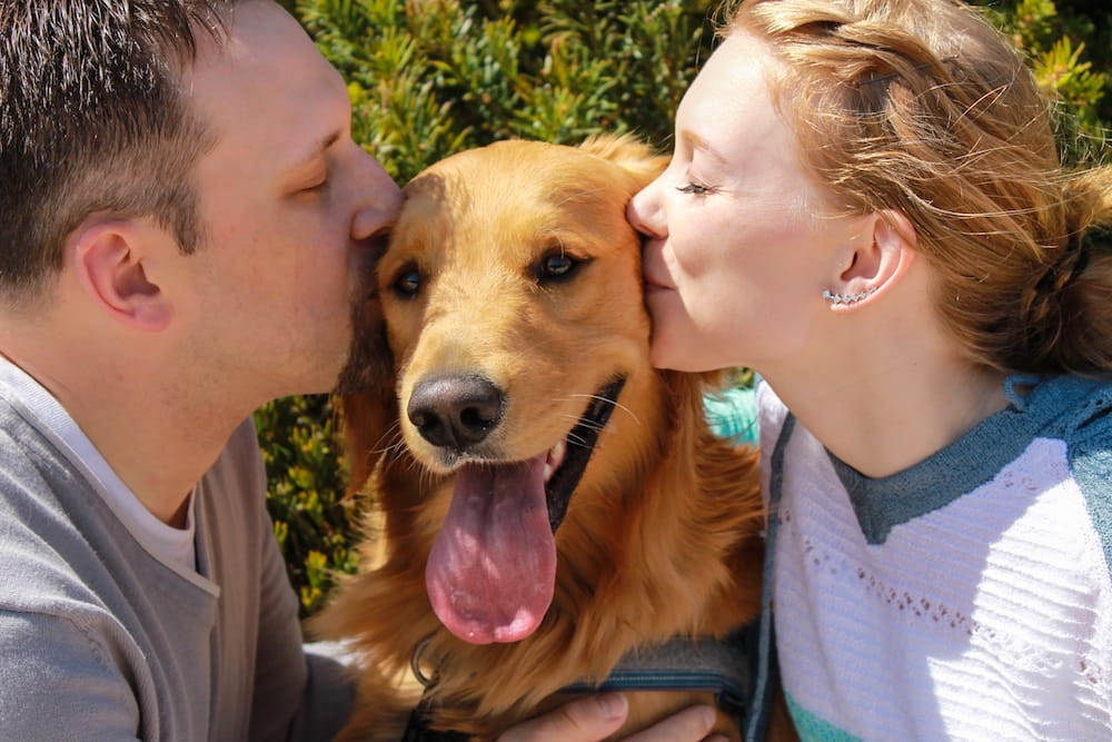 A towering tale of human – and canine – love | MUSC Health | Charleston SC