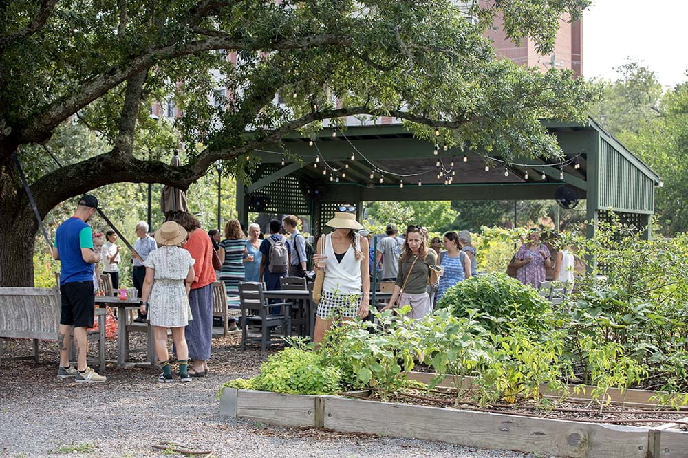 People gather outside in a beautiful garden with cafe lights overhead.