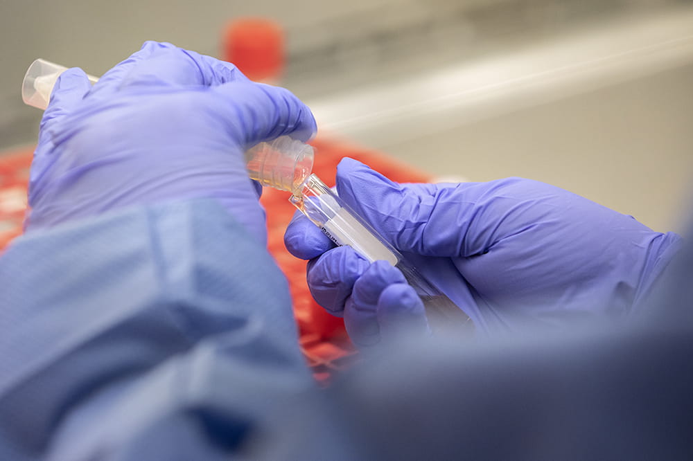 Purple gloved hands hold a tube with liquid in it.