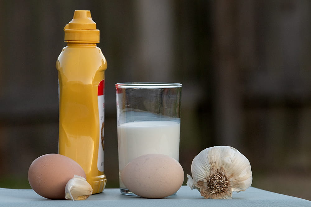 Egg, bottle of mustard, glass of milk and garlic sit on a table.