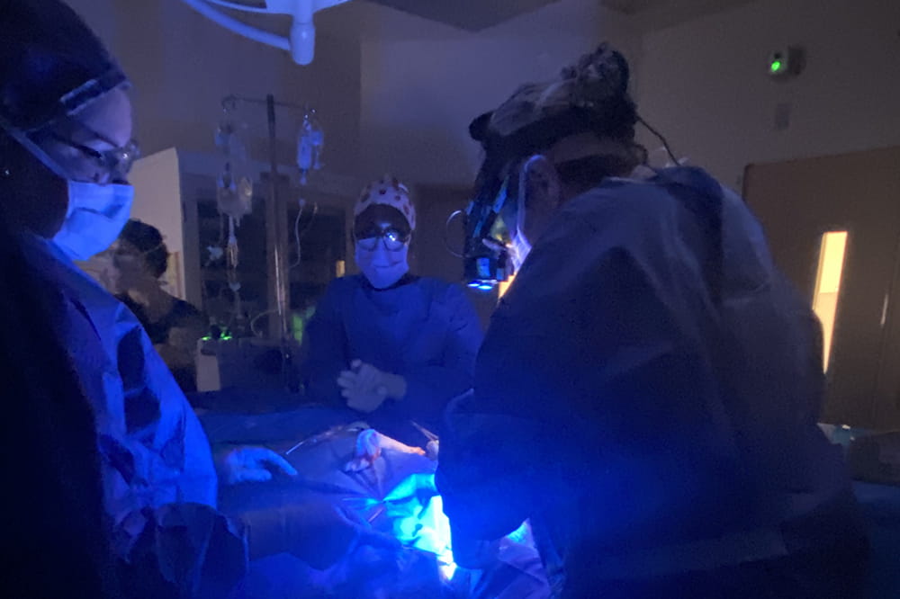 surgical staff are bathed in blue light in the operating room